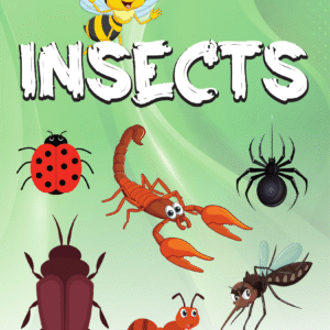 Insects - Kids Nature Book