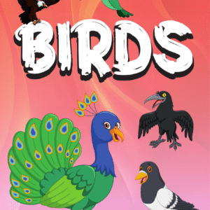 Birds Learning - Kids Book
